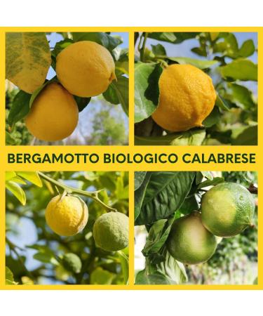 Valle del Crati Organic Calabrian Bergamot Juice | Fresh and Thirst-Quenching Drink | No Added Sugars and No Preservatives | 100% Pure Bergamot Juice | 12 bottles of 720ml - Buy Online on GoSupps.com
