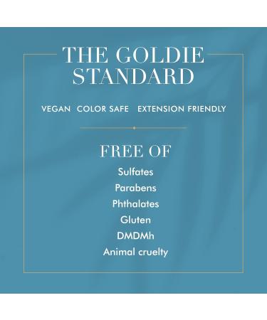 Goldie Locks Flexible Hold Hair Spray Brushable Finish For All Hair Types & Extensions Humidity Resistant Lightweight for Volume and Styling Control 3.4 oz 3.4 Ounce - Buy Online on GoSupps.com