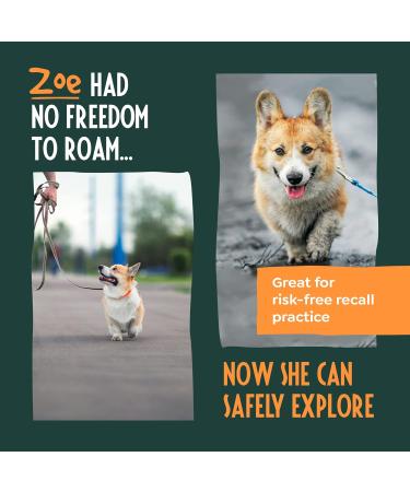 Strong Retractable Dog Lead 3m Long Extendable Dog Lead No-Tangle Dog Leash Dog Leads for Small Dogs/Medium Dogs Soft-Grip Anti-Slip Brake Anti-Twist Extending Dog Lead - Buy Online on GoSupps.com
