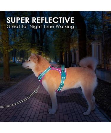 Phoepet No Pull Dog Harness - Reflective Vest with Soft Training Handle for All Sizes (Pink & Green) - Buy Online on GoSupps.com