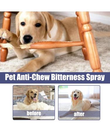 Genonmy Anti Kau Spray for Dogs & Cats - Long-Distance Stop Spray for Effective Chewing Prevention on Furniture Clothing & Shoes - 50ml - Buy Online on GoSupps.com