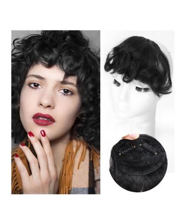 Bangs Hair Clip Messy Curly Short Bangs Clip in Bangs Hair Extension Synthetic Front Curly Bangs Hairpieces Heat Resistant Natural False Hair Piece for Women Girls Bangs Clip in Hair (Color : 2)