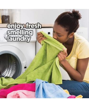 HOME VICTORY Dryer Sheets 240 Count - Free & Clear Unscented Fabric Softener Sheets - Reduces Wrinkles, Controls Static, Softens Fabric - Buy Online on GoSupps.com