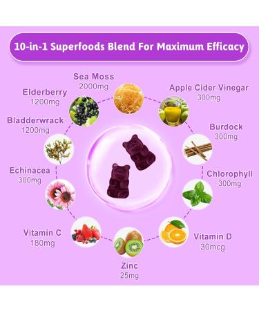 Vegan Sea Moss Gummies with Elderberry, Bladderwrack, Echinacea, Apple Cider Vinegar & More - 60Ct Supplement for Adults & Kids - Blueberry Flavor - Buy Online on GoSupps.com