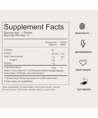 Rain International- Soul Red Seed-Based Antioxidant Superfood Drink | Cold-Pressed Black Cumin Grape & Raspberry Seeds Immune Support Energy | On-The-Go Single-Serve Pouches | 30 Count - Buy Online on GoSupps.com