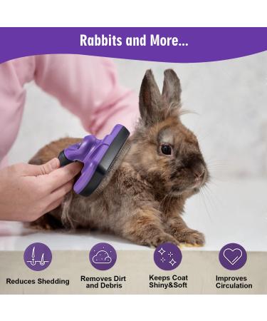 TIMINGILA Self-Cleaning Slicker Brush for Pets - Grooming Tool for Dogs, Cats, and More - Purple - Buy Online on GoSupps.com