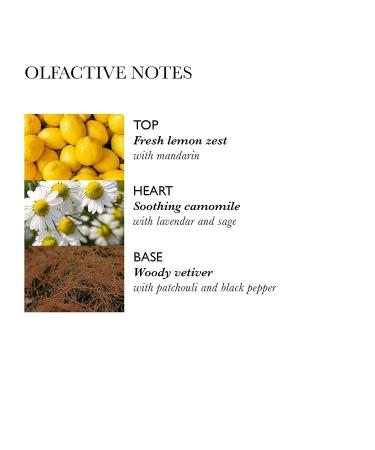 Molton Brown Hydrating Camomile Conditioner - 10 fl. oz - Buy Online on GoSupps.com