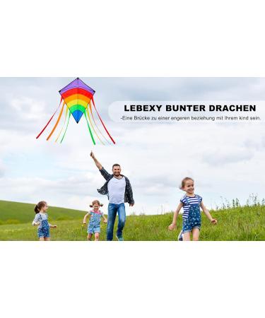 Lebexy Insliner Delta Dragon Kite for Kids & Adults | Easy to Fly Colorful 73x65 cm Kite with 80m String | Perfect Children's Outdoor Toy - Buy Online on GoSupps.com