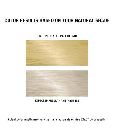 ULTRA BOND 5-Minute Express Toner | Strengthens & Protects | 2X Shinier Hair | Cool Violet-Blonde | Amethyst Ice 2 Fl Oz | Fast Shipping Worldwide - Buy Online on GoSupps.com