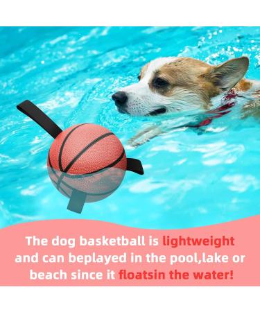 Hetoo Interactive Dog Toys - Basketball Tug-of-War Durable Balls & Puppy Gift for Small to Medium Dogs - Buy Online on GoSupps.com
