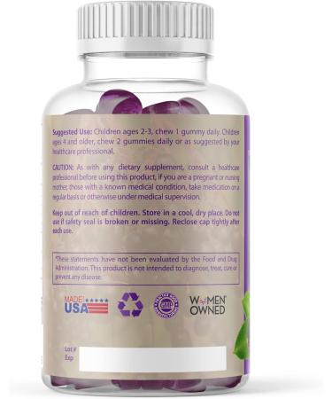 Elderberry Queen Organic Elderberry Gummies 60 ct - Immune Support Gummies with Vitamin C & Zinc - Elderberry Vitamin Gummies for Adults and Kids - Buy Online on GoSupps.com