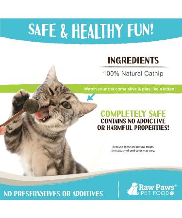 Raw Paws Catnip Lollipop (6-Pack) - Catnip Toys for Indoor Cats - Catnip Ball, Silvervine & Matatabi Stick for Cats - Buy Online on GoSupps.com
