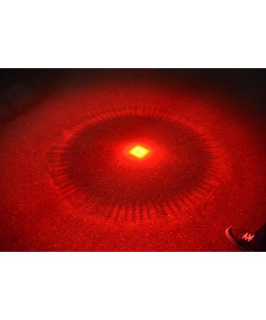 WAYLLSHINE High Power Red LED Flashlight - Single Mode, Ideal for Astronomy, Aviation, Night Observation - Buy Online on GoSupps.com