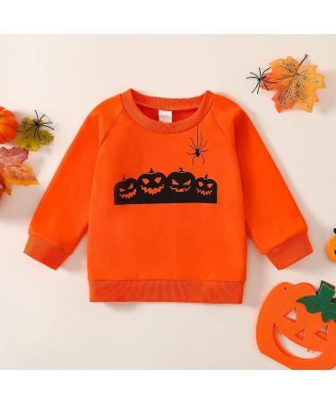 Pumpkin Print Toddler Halloween Sweatshirt | Orange Pullover for Boys and Girls 2-3T - Buy Online on GoSupps.com