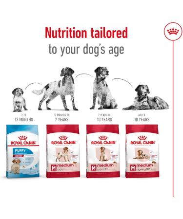 Royal Canin Medium Adult 4 kg - Buy Online on GoSupps.com