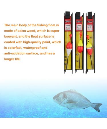 Hezhou 6-Piece Fishing Pose Set - Complete Fishing Gear for Peacefish Trout Eel & Pikeperch | Ideal for Lake River & Pond Fishing - Buy Online on GoSupps.com
