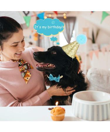 Christmas Pet Party Jazz Hat and Bow Tie Set for Small Dogs and Cats - Light Blue - Buy Online on GoSupps.com