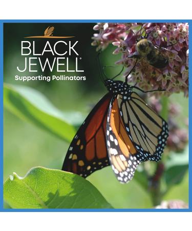 Black Jewell Blue Ribbon White Gourmet Popcorn Kernels 28.35oz - Pack of 1 - Buy Online on GoSupps.com