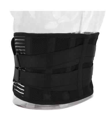 Back Support Prevents Slipping 6 Stays Strong Vertical Support 4-Way Stretch Breathable Lumbar Support Belt for Lumbar Prevents Injury (L) Large - Buy Online on GoSupps.com