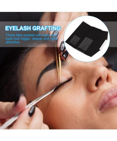 Homoyoyo Bo te de Rangement Portable pour Pinces piler de Cils et Outils de Maquillage tui Compact Noir Paquet de Rangement Professionnel pour Extensions de Cils Adapt aux Voyages - Buy Online on GoSupps.com