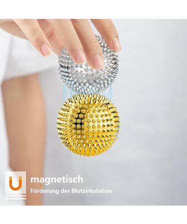 2 Gold & 2 Silver Hedgehog Balls + 10 Acupressure Rings - Ultimate Skill Development Set for Stress Relief - Buy Online on GoSupps.com