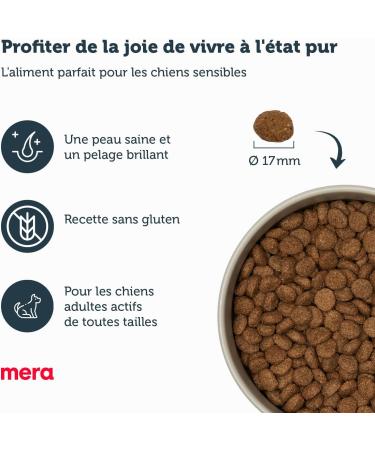 MERA Pure Sensitive Insect Protein Croquettes for Sensitive Dogs Hypoallergenic and Ecological Monoprotein Food - Buy Online on GoSupps.com
