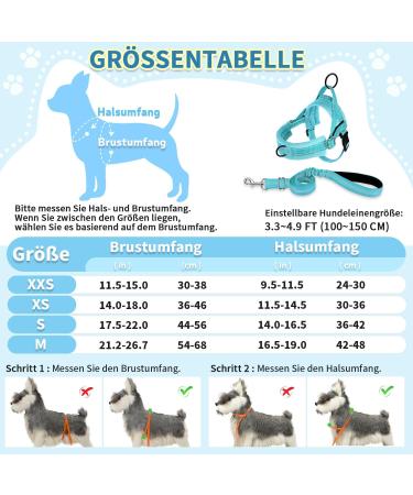 Eyein No-Pull Dog Harness & Leash | Soft Padded Reflective Adjustable for Puppies & Small to Large Dogs | Blue-Green XS - International Shipping - Buy Online on GoSupps.com