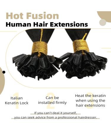 Ugeat Brown Bonding Extensions - Real Dark Brown U-Tip Hair Extensions 35 cm 50g 50 Pieces (#2 14 Inch) - Premium Quality for Stunning Hair Transformations - Buy Online on GoSupps.com