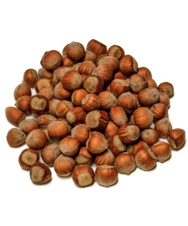 IGART hazelnuts in the shell 5kg 5000g | Hazelnuts | Natural | Tasty | Eco quality | Harvest 2023