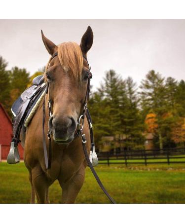 Tahoe Tack Double Layer Nylon Headstall with Reins - Pink Full Size - Buy Online on GoSupps.com