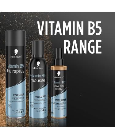 Schwarzkopf Styling Vitamin B5 Blow-Dry Hair Spray Volume and Shine 24hr hold 100 C heat protectant spray 200ml Pack of 2 200 ml (Pack of 2) - Buy Online on GoSupps.com