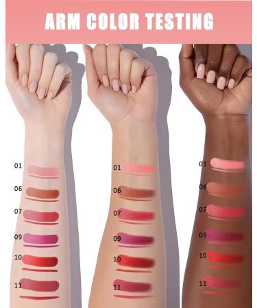  LYSdefeu 11 Pcs Matte Lipstick and Lip Liners Set Long Lasting Waterproof High Pigmentation Non-sticky Cream Texture Matte Velvet Lip Gloss Gift for Women - Buy Online on GoSupps.com