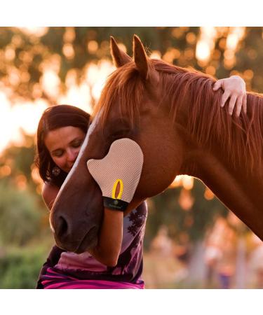 SunGrow Ferret & Cat Deshedding Glove Brush | Protects Hand from Hen Pecks | Ideal for Chicken Egg Collection | Adjustable Wrist Strap | Long & Short Fur - Buy Online on GoSupps.com
