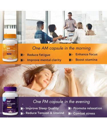Rhoziva AM PM Rhodiola Rosea L theanine 200mg Ashwagandha Supplement 200mg 30:1 Extract Daytime Energy Supplement Stress Relief Mood Support. Night Time Sleep Support & Calming Supplement For Men & Women. Vitamin B12 Vitamin B6. 60 Capsules. - Buy Online on GoSupps.com
