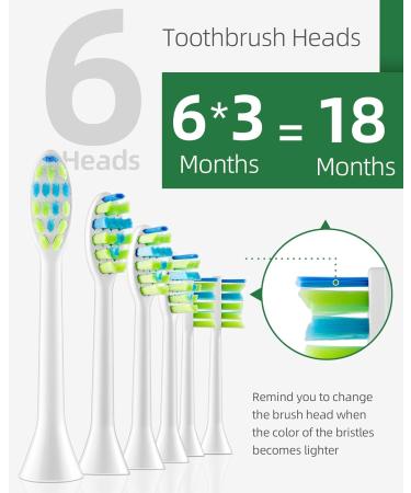 7am2m Sonic Electric Toothbrush with 6 Brush Heads for Adults and Kids Wireless Fast Charge One Charge for 60 Days 5 Modes with 2 Minutes Built in Smart Timer Electric Toothbrushes(Green) No Travel Case Green - Buy Online on GoSupps.com