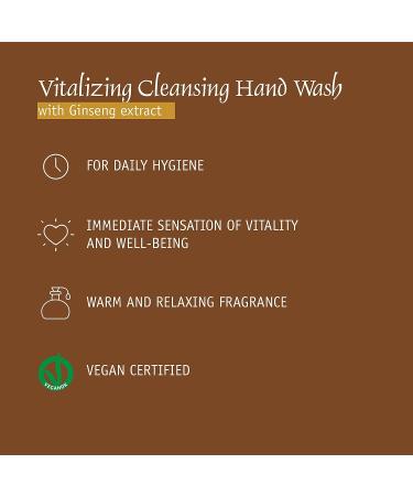 Prija Vitalizing Ginseng Hand Wash - 12.84 fl oz | Vegan, Dermatologically Tested | Eco-Friendly Formula in 100% Recycled Bottle - Buy Online on GoSupps.com