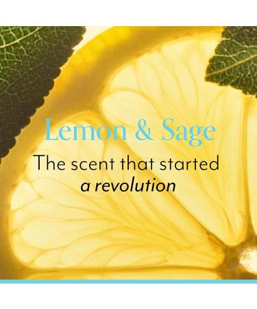 Bliss Seriously Smooth Lemon & Sage Duo: Body Butter Body Scrub | Exfoliate & Hydrate Skincare Set for Soft Radiant Skin - Buy Online on GoSupps.com