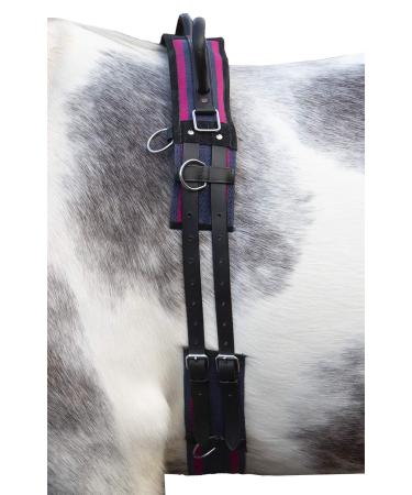 HKM Lunging Girth Canvas with Double Handle (Pony Navy/Passion Pink) navy/passion pink Pony