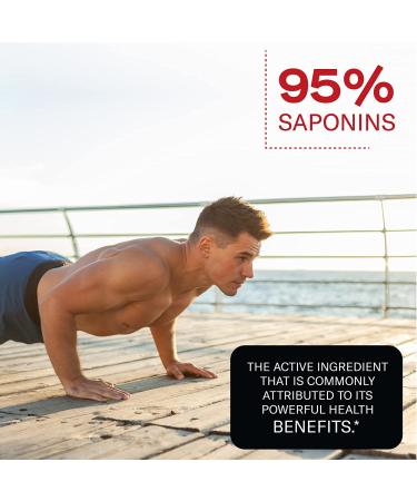 Prime Labs Power High Potency Tribulus Terrestris Extract - 95% Saponins - 1300mg Concentrated Formula - Men & Women Support - 120ct - Buy Online on GoSupps.com