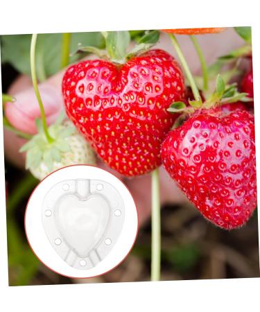 Kisangel 5pcs Fruit Shaping Vegetables Cucumber Fruit Shaper Cherry Tomatoes Stereotypes - Buy Online on GoSupps.com