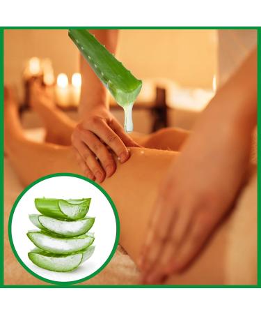 BioRLX 99% Purity Aloe Vera Gel with Collagen and Hyaluronic Acid for Face Body and Hair & Soothing Moisture Sun Burns Anti Wrinkle Anti Aging Razor Bumps Dry Skin (250ml) - Buy Online on GoSupps.com