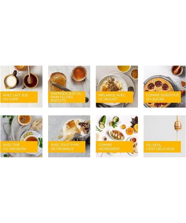 100% Natural Chilean Hazelnut Honey - 300g Jar Gourmet Excellence - Buy Online on GoSupps.com