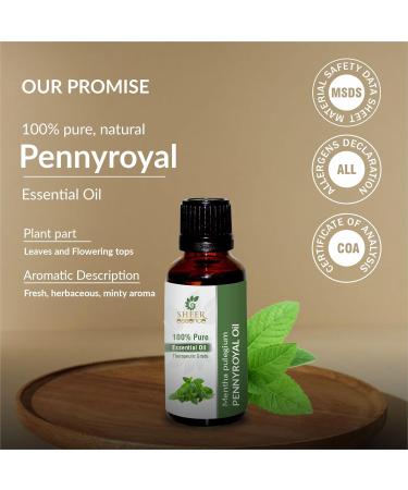 Pennyroyal Oil (Mentha Pulegium) Essential Oil 100% Pure Natural Undiluted Uncut Therapeutic Grade Oil 3.38 FL.OZ - Buy Online on GoSupps.com