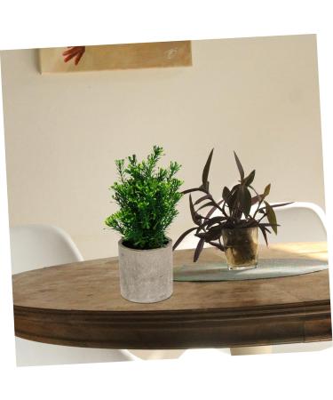 Ciieeo 4 Pcs Simulated Potted Plant Plastic Plant Pots Fake Eucalyptus Plant Tiny Fake Plants Fake Green Plant Simulation Plant Fake Plant Decor Pulp Potted Plants Rosemary Green Plants As Shownx4pcs 21.5x8cmx4pcs - Buy Online on GoSupps.com