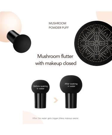  PCC PTYXIS CC Cream Air Cushion Mushroom Head Air Cushion CC Foundation Cream CC Cream Face Makeup Waterproof Oil Control Long-Term Nude Makeup (#5 111g) - Buy Online on GoSupps.com