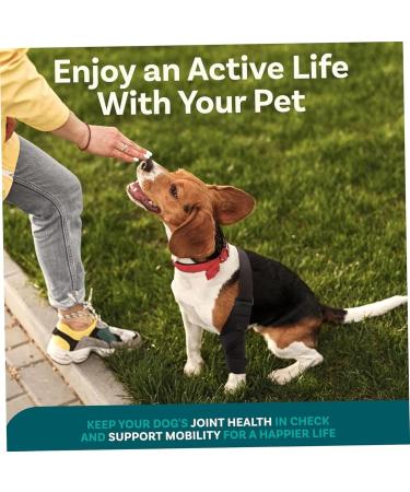 QYJLOFMVE Dog Knee Brace Support for Large and Small Dogs Suffering from ACL CCL Cruciate Ligament Injuries Luxating Patella or Osteoarthritis for Rear Legs and - Buy Online on GoSupps.com