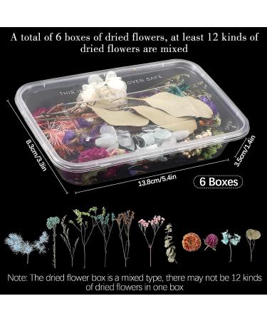 6 Boxes Coume Dried Flowers for Resin Crafts - Natural Pressed Dry Flower Leaves for Jewelry Making, Soap DIY, and Floral Decor - Buy Online on GoSupps.com