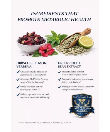 MediVite Supplements MediLeanPheno Weight Management & Metabolism Boost Reduce Appetite and Cravings for Clinically Proven Weight Loss Fat Burner No Side Effects 30 Servings - Buy Online on GoSupps.com