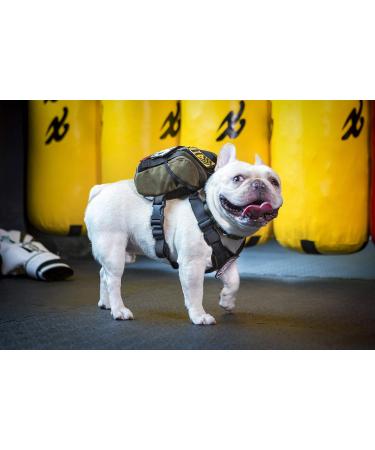 Buy Oneigris Eureka Backpack for Small Dogs - Green Feces Bag Dispenser Ideal for Hiking - L 14 x W 6 x H 18 cm - Buy Online on GoSupps.com
