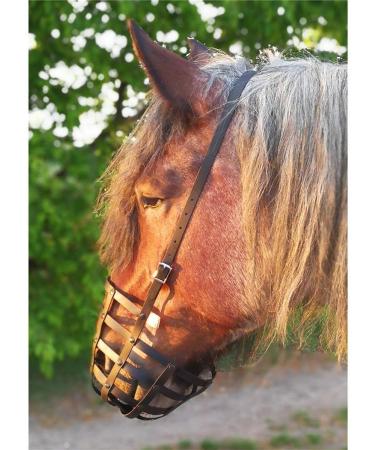 Heavy Horse Feeding Muzzle for Shetland Ponies & Small Horses | Durable Throat Strap & Base Plate - Buy Online on GoSupps.com